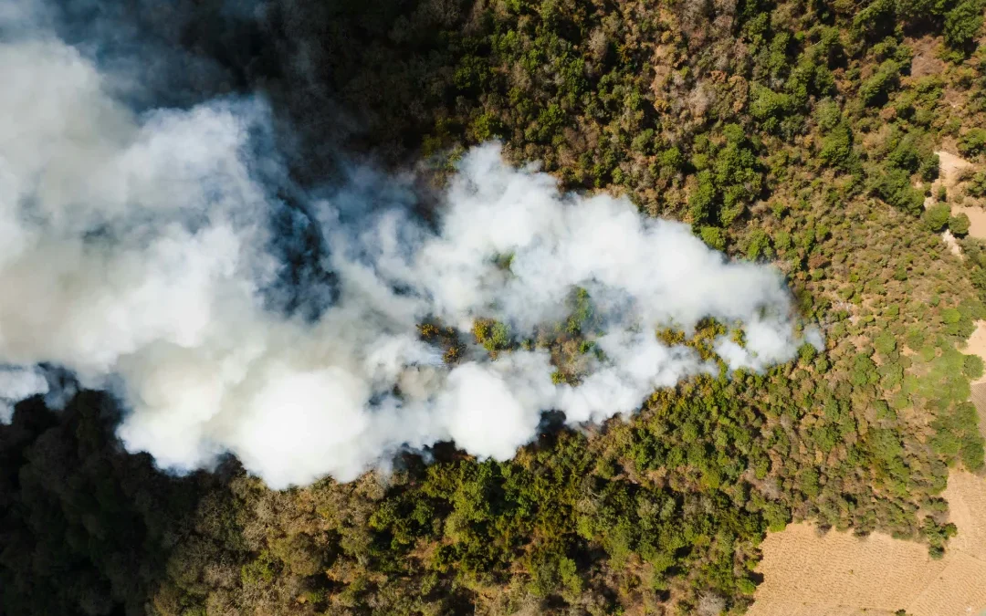 Recalificación de terrenos tras un incendio: marco legal y limitaciones